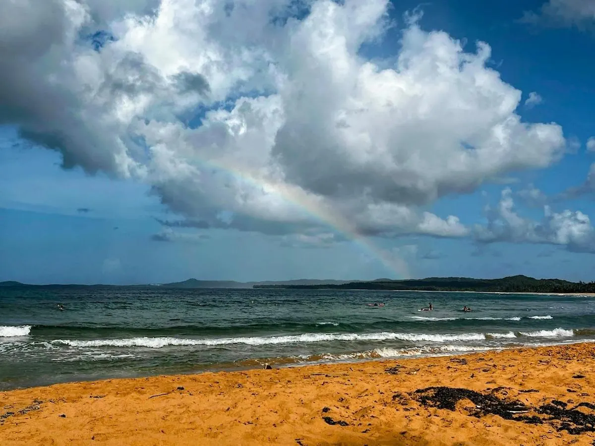 Best Beach In Pr! Beachfront 6 Bedr & Food Forest Luquillo Puerto Rico