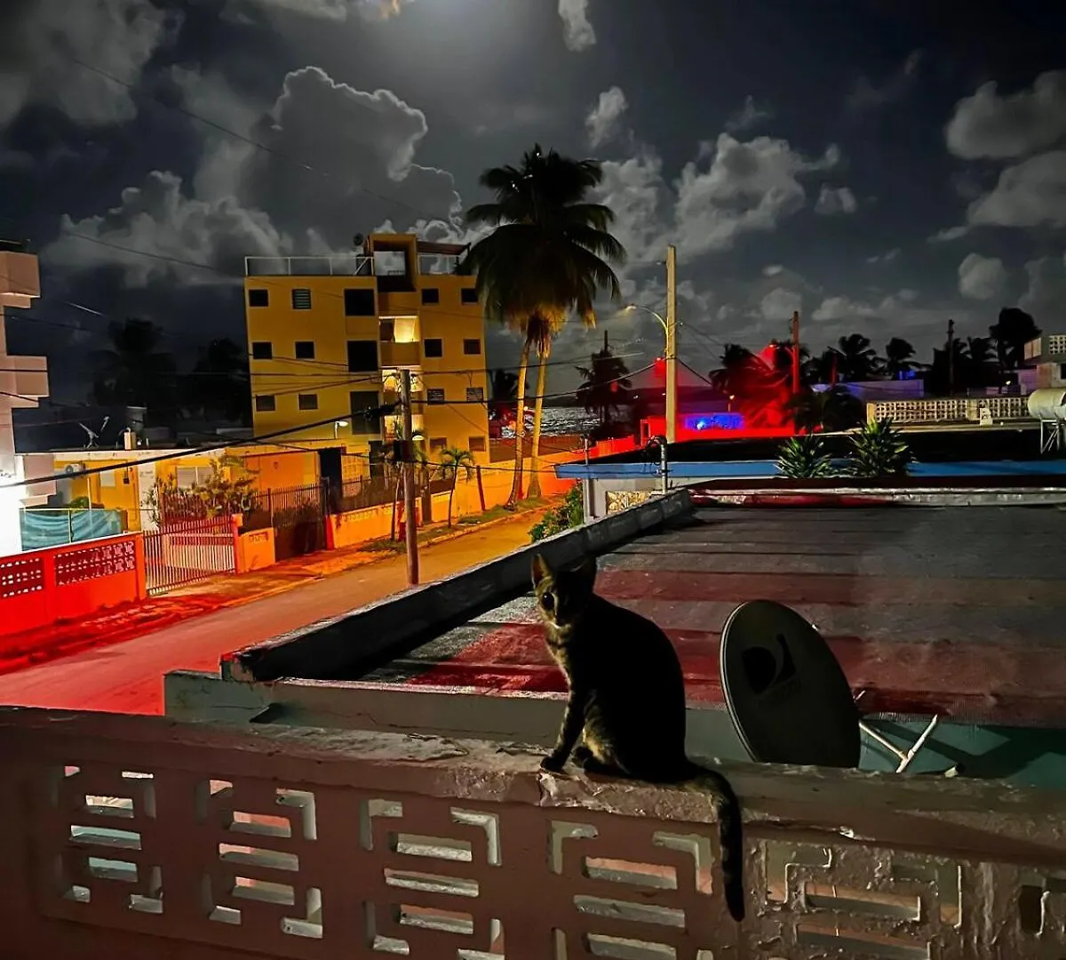 Best Beach In Pr! Beachfront 6 Bedr & Food Forest 卢基约 波多黎各