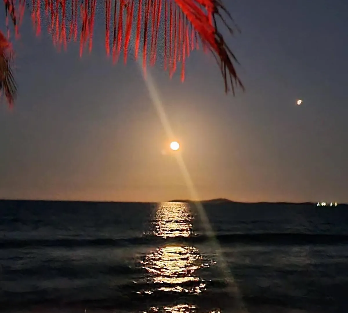 Best Beach In Pr! Beachfront 6 Bedr & Food Forest 卢基约 0*,  波多黎各